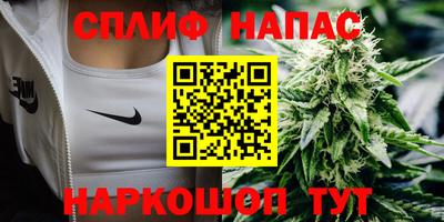 стаф Обь