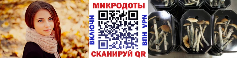 Галлюциногенные грибы мухоморы  Улан-Удэ 